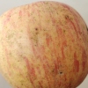 山东烟台栖霞红富士苹果三级果带点带果锈丘陵果园清脆可口三级果