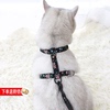 猫咪工字型胸背猫牵引绳日式和风防挣脱外出遛猫绳小型犬宠物用品