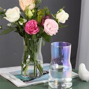 创意北欧 小小迷你花瓶玻璃透明花器 桌面阳台水培插花工艺品摆设