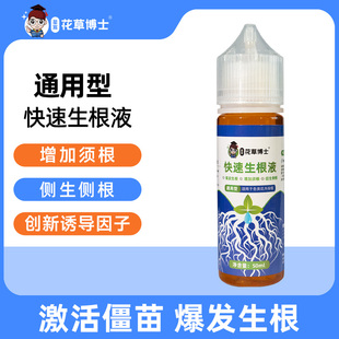 快速生根液花卉多肉，植物扦插家用盆栽通用型，移栽壮苗水花卉营养液