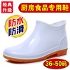 短筒白色食品卫生靴低帮男女雨鞋雨靴大码厨师鞋46 47 48 49 50码