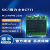 海力士BC711 NVME2230固态SSD硬盘1TB自制CFE卡C20低温王者