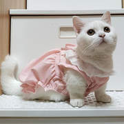 猫咪衣服夏季薄款防掉毛幼猫英短布偶公主裙宠物，可爱背心猫猫裙子