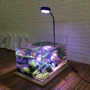 多肉灯鱼缸水族水草灯，led全光谱珊瑚盆栽，智能定时植物生长补光灯