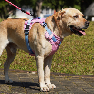 背心式狗狗牵引绳中大型犬拉布拉多金毛柯基胸背带可调节遛狗绳子