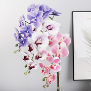 仿真蝴蝶兰3d打印胶片，兰花婚庆花束，室内家居客厅装饰假花