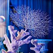 海洋系列珊瑚枝树杈影楼拍摄用品橱窗美陈装饰仿真珊瑚枝婚庆道具