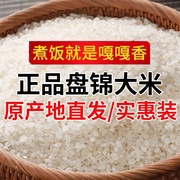 盘锦大米碱地米蟹田农家(田农家)自产东北大米珍珠米非真空装10斤5kg软糯