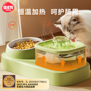 猫咪饮水机自动循环喂水器猫碗狗碗流动喝水喂食盆一体防打翻猫碗