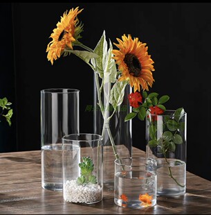 高硼硅玻璃苔藓生态瓶水培，植物瓶室内桌面小花盆直筒艺术插花花瓶