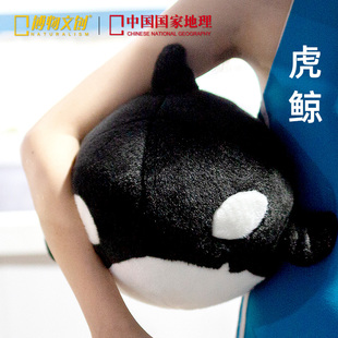 中国国家地理博物文创玩偶毛绒，玩具虎鲸抱枕，海豚公仔女孩丑萌可爱