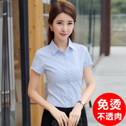 蓝白色竖条纹衬衫女短袖职业2023夏季气质半袖工作服工装衬衣