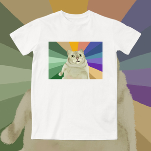 mur猫奇怪的知识一杠，插画a1周边文化，恶搞t恤可爱宽松百搭短袖