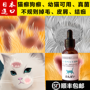 猫咪猫癣专用猫藓内服治疗的口服皮肤病真菌掉毛脱毛幼猫狗狗