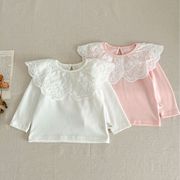 女童长袖t恤韩版棉质打底衫，可爱婴幼儿翻领上衣纯色，蕾丝娃娃领t恤