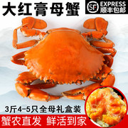 三门青蟹鲜活螃蟹3斤4-6只全母大红膏蟹礼盒海鲜水产红鲟海蟹满膏