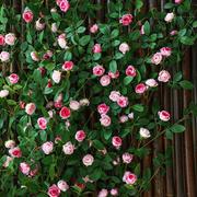 仿真玫瑰花假花空调管道装饰花，藤条遮挡塑料，藤蔓植物摆设吊顶墙面