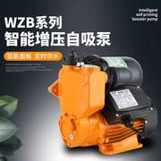增压泵小型抽水泵家用自吸泵，220v全自动静音，自来水管道加压泵防冻