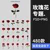 玫瑰花专题 各色花瓣花枝单支手绘婚礼情人节PSD模板PNG免抠素材