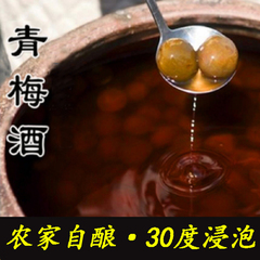 青梅酒自酿农家梅子酒30度米男酒酿