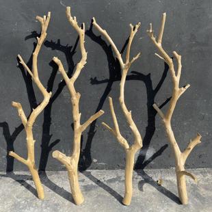 干树枝原木杈艺术干枝，枯枝枯木树干，鸟架造型壁挂衣架吊顶树枝装饰