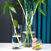 落地客厅摆件插花干花，北欧玻璃花瓶透明直筒，水培富贵竹水养瓶