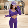 欧美性感紫色健身套装女高颜值普拉提运动衣服高级感瑜伽裤秋冬款