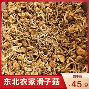 东北特产滑子菇干货500g小黄磨滑子蘑，新鲜野生蘑菇小鸡炖蘑菇