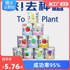 猫草种植小盆栽礼物栽培罐头花罐头植物好养种子向日葵草莓种植