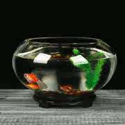 家用桌面养鱼迷你乌龟缸水族箱圆形玻璃鱼缸装饰品的植物客厅宿舍