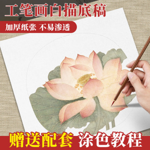 工笔画白描底稿临摹画稿套装手绘花鸟牡丹，临摹线熟宣12色国画颜料，初学者入门勾线描红线条送涂色教程中国画