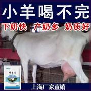 母羊下奶快哺乳期怀孕快速增奶专用催奶灵兽用饲料添加剂微量元素