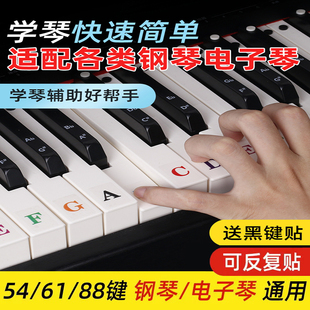 字母钢琴键盘贴纸88键61键54键电子琴琴键贴按键贴透明多彩英文贴
