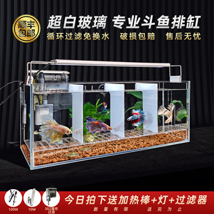 泰国斗鱼专用排缸多格组合孔雀鱼国斗鱼缸隔离超白玻璃专业用组缸