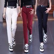 红色哈伦裤2023秋季高腰，显瘦休闲垂感小个子，直筒烟管小脚裤潮