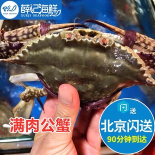 5-8两1只 北京闪送 鲜活 满肉公母梭子蟹 螃蟹 海蟹海鲜水产 飞蟹