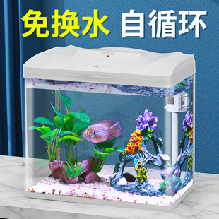 森森鱼缸水族箱生态桌面金鱼缸(金鱼缸)玻璃小型客厅制氧过滤免换水家用缸