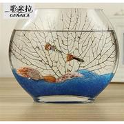 玻璃金鱼缸(金鱼缸)玻璃，创意鱼缸扁口水族箱小型椭圆形超白桌面透明迷你