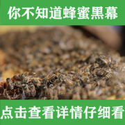 2020年新蜂蜜纯天然农家自产自销深山野生成熟土蜂蜜PK进口新西兰