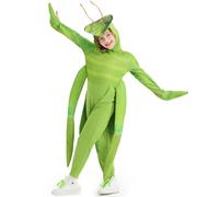 搞笑万圣节男童女童动物，角色扮演cosplay表演螳螂cosplay服装
