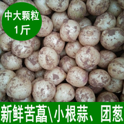 新鲜苦藠小根蒜团葱苦芥苦叫小蒜头四川茭头野葱头薤白500g