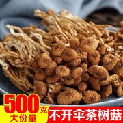 新货茶树菇干货500g特产不开伞嫩茶树菇盖嫩蘑菇金针菇炖鸡菇