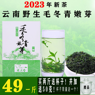 云南毛冬青嫩芽野生毛冬青嫩芽茶叶青山绿水500g一级嫩叶新茶