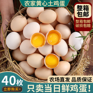 山东新鲜农村土鸡蛋40枚农家散养自养天然柴鸡蛋笨鸡蛋草鸡蛋整箱