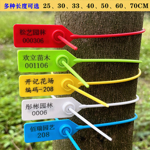 一次性塑料封条物流园林苗木标签扎带自锁式防盗扣带编码标牌扎带