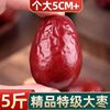 新疆特产红枣 五星 和田大枣子500g一等大枣干吃零食