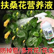 植物营养液通用型扶桑花营养液防黄叶掉花苞重瓣盆栽朱瑾花木槿花