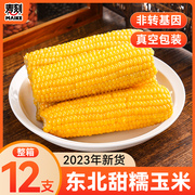 整箱12支2023年东北黏糯玉米棒真空包装黄苞米现摘新鲜玉米非即食