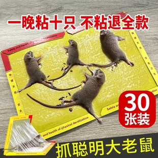 粘鼠板强力粘鼠标超强老鼠，贴家用强力胶抓杀大老鼠老鼠板灭鼠捕鼠