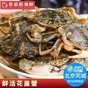 活花盖蟹北京闪送海蟹花蟹，石蟹鲜活梭子蟹公母海蟹海鲜水产